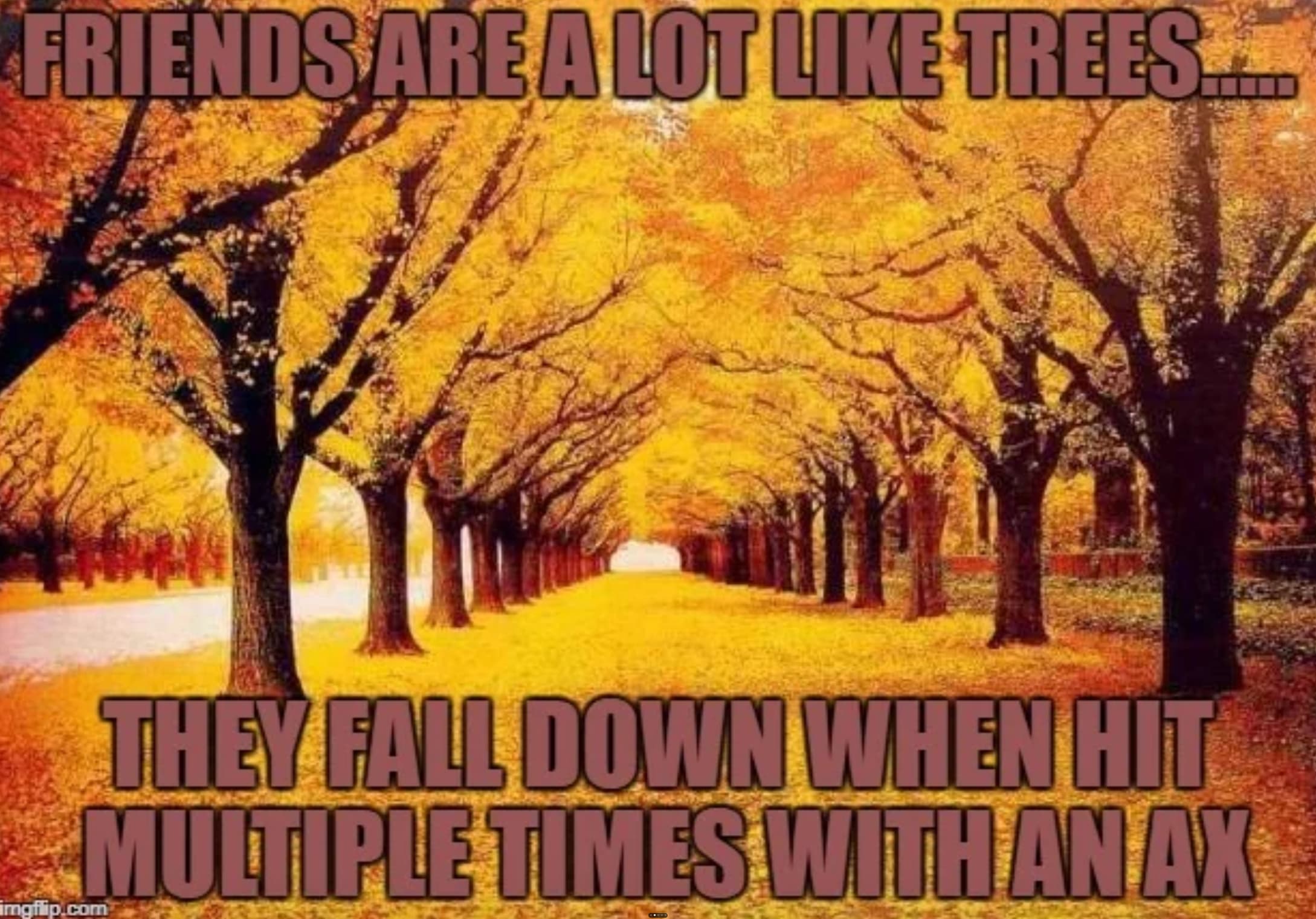 Friends Are A Lot Trees...m imgflip.com They Fall Down When Hit Multiple Times With An Ax